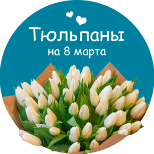 Купить тюльпаны в Соколе
